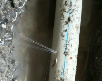 巴中市卫生间测漏水多少钱