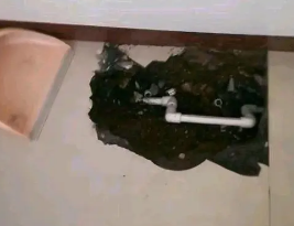 巴中市卫生间测漏水多少钱